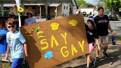 We Say Gay Kids